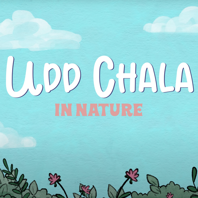 Udd Chala